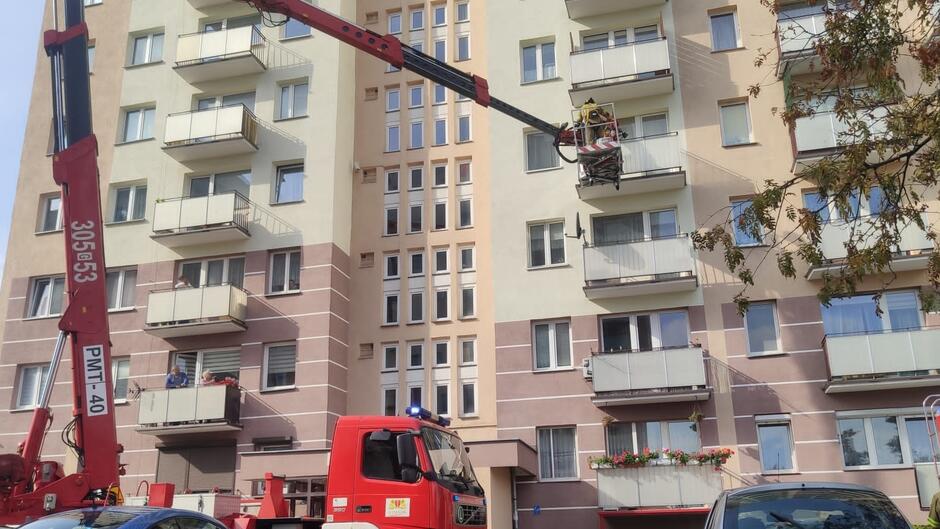 SM Gdansk interwencja mewa uwięziona balkonie przy ul. Karpackiej