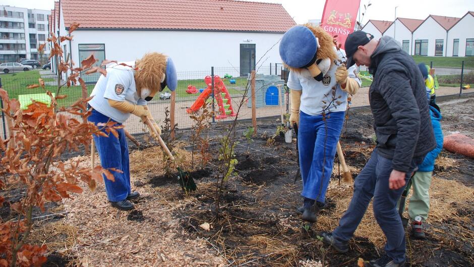 strażnicy sadzą drzewa.JPG