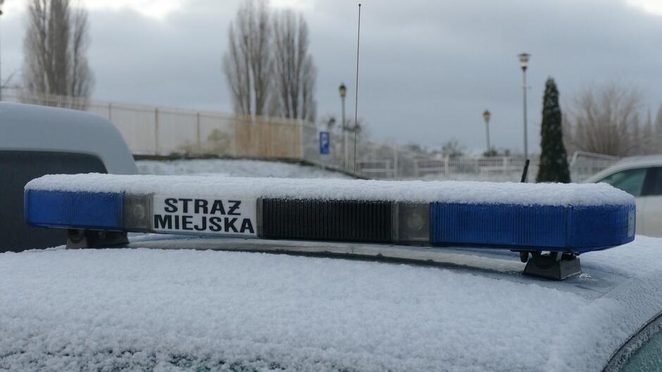 wiatła pojazdu uprzywilejowanego z napisem straż miejska latarnie parking ogrodzenie drzewa.JPG