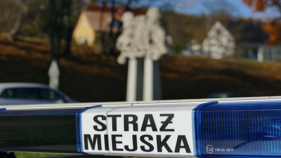 światła niebieskie na dachu radiowozu w tle rzeźba z herbem Gdańska