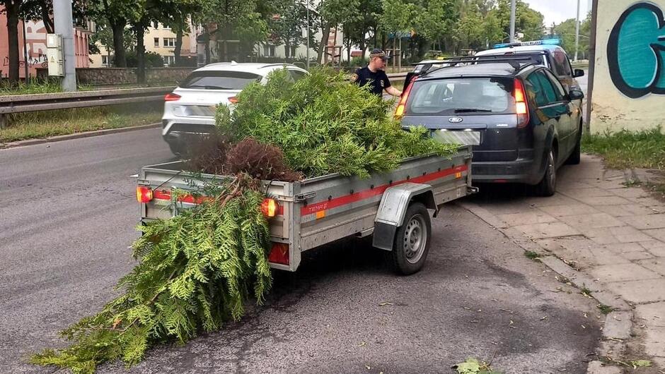 wystające drzewka z przyczepy, w tle strażnik rozmawia z kierowcą, który siedzi w aucie