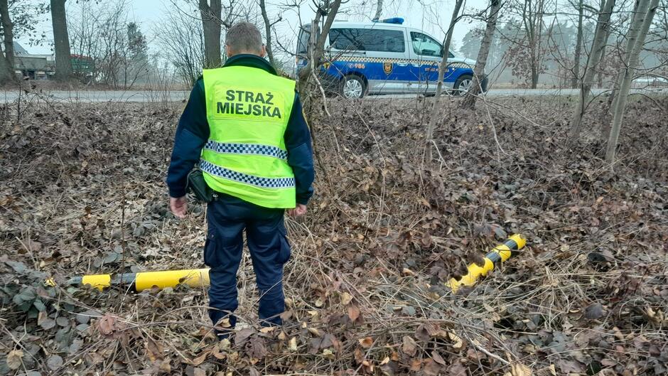 strażnik stoi w rowie melioracyjnym sterta suchych liści słupki drogowe drzewa