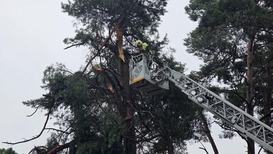 strażak na wysięgniku odcina złamany konar sosny