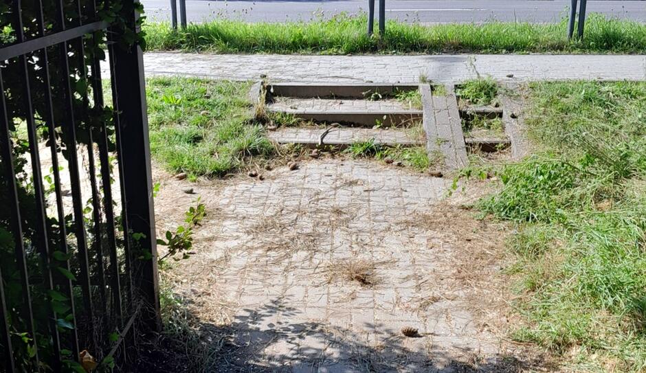 Na zdjęciu widoczne są niewielkie betonowe schody prowadzące z niższego utwardzonego terenu na wyższy chodnik. Otoczenie schodów jest zarośnięte trawą i chwastami, widoczne są również fragmenty ziemi. Po lewej stronie znajduje się metalowe ogrodzenie, częściowo przysłonięte przez roślinność. W tle, za chodnikiem, widać drogę oraz więcej zieleni, co wskazuje na miejskie lub podmiejskie otoczenie.