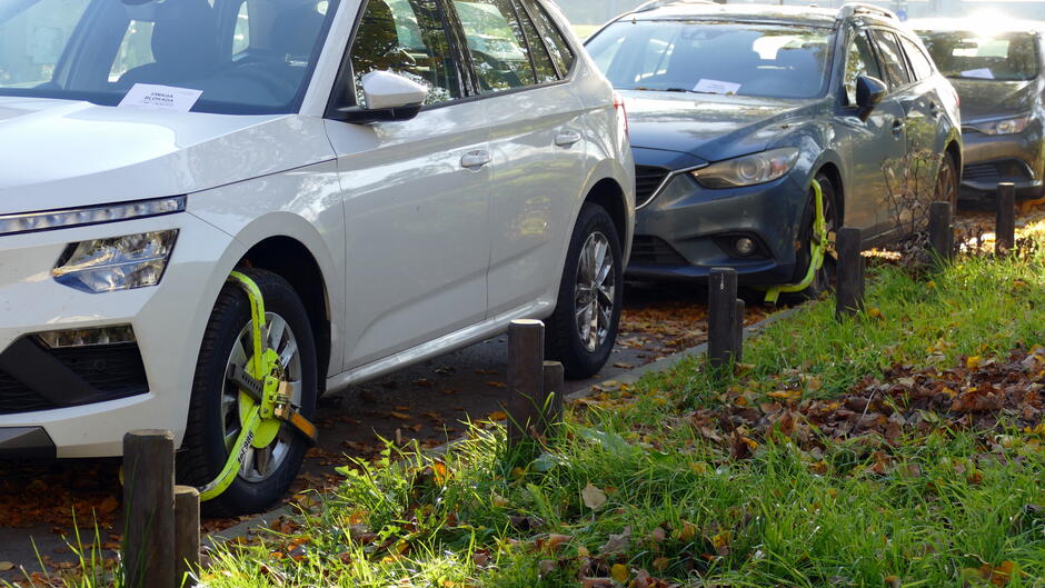 Na zdjęciu widać trzy samochody zaparkowane wzdłuż ulicy, na której leży warstwa jesiennych liści. Na przednich kołach dwóch pojazdów (biały SUV i ciemnoszary kombi) założone są żółto-zielone blokady, co wskazuje na interwencję służb porządkowych w związku z nieprawidłowym parkowaniem. Na przednich szybach pojazdów znajdują się kartki – prawdopodobnie zawiadomienia od straży miejskiej. W tle widoczne są kolejne auta oraz drewniane słupki oddzielające pas zieleni od chodnika. Scena odbywa się w słoneczny dzień, a na ziemi leżą liczne brązowe i żółte liście.