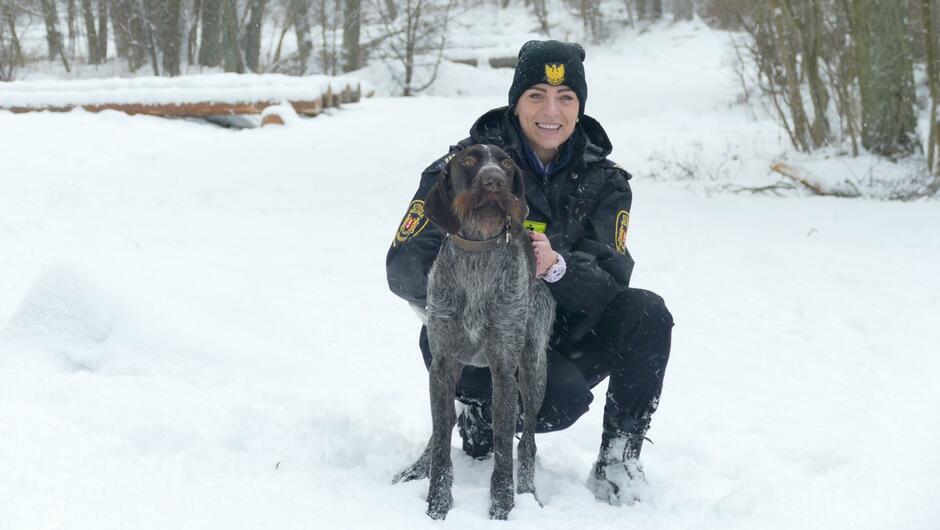 zdjęcie przedstawia dwa psy rasy owczarek niemiecki na śniegu.
Jeden pies znajduje się na pierwszym planie, jest na smyczy i patrzy w stronę aparatu. Ma długą sierść w odcieniach brązu i czerni, charakterystyczną dla tej rasy.
Drugi pies jest w tle, odwrócony tyłem, również ma umaszczenie typowe dla owczarka niemieckiego (czarno-brązowe).
Całe otoczenie jest pokryte śniegiem, co sugeruje zimową porę roku.