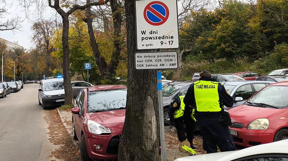 Na zdjęciu widać funkcjonariuszy Straży Miejskiej zakładających blokadę na koło pojazdu zaparkowanego wzdłuż ulicy. Obok stoi znak drogowy informujący o zakazie postoju w dni powszednie w godzinach 9–17, z dopiskiem dotyczącym wyjątków dla określonych posiadaczy kart. W tle po lewej stronie widoczny jest oznakowany radiowóz Straży Miejskiej z włączonymi światłami. Wzdłuż ulicy zaparkowane są liczne samochody, a całość otaczają drzewa w jesiennej scenerii.