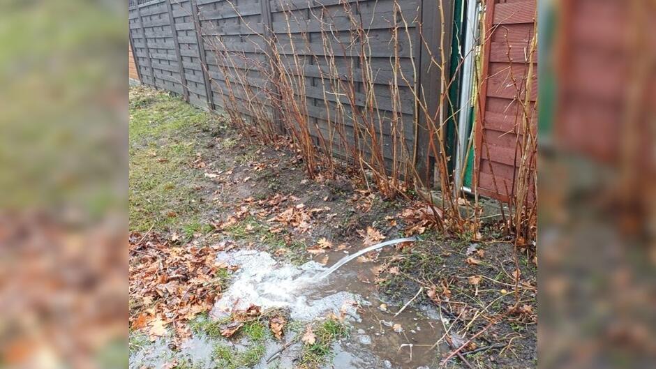 Na zdjęciu widać fragment ogrodu wzdłuż drewnianego płotu. Przy ogrodzeniu rosną bezlistne krzewy, prawdopodobnie w stanie zimowym lub wczesnowiosennym. Z lewej strony leży wąż ogrodowy, z którego wypływa woda, tworząc kałużę i rozmiękczając ziemię. Podłoże jest mokre, błotniste, a na powierzchni leżą rozrzucone, suche liście. Cała scena sprawia wrażenie miejsca, w którym właśnie odbywa się podlewanie lub spuszczanie wody, co prowadzi do lokalnego zalania gruntu.