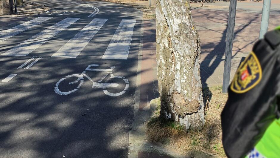 Drugie zdjęcie przedstawia fragment drogi z oznaczeniem ścieżki rowerowej namalowanym na asfalcie. Po lewej stronie widoczne są pasy przejścia dla pieszych. Z prawej krawędzi kadru widać kawałek munduru funkcjonariusza Straży Miejskiej. Obok drogi rośnie drzewo z grubym pniem, tuż przy chodniku. Całość wygląda na teren rekreacyjny lub drogę prowadzącą przez park.