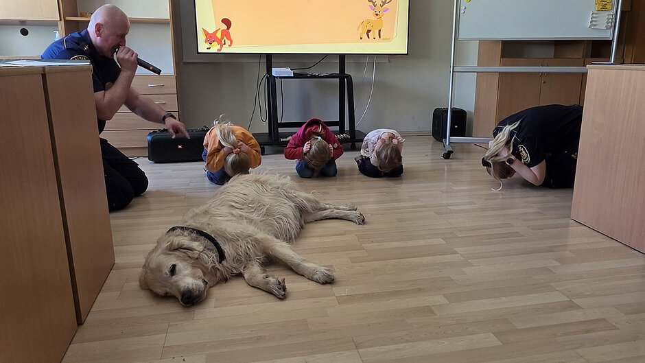 Zdjęcie przedstawia salę edukacyjną z jasną, drewnianą podłogą i meblami biurowymi ustawionymi przy ścianach. Na podłodze, na pierwszym planie, leży spokojnie duży, jasny pies. W tle kilka małych dzieci siedzi lub klęczy na podłodze, pochylonych z głowami skierowanymi w dół, wykonując to samo ćwiczenie w tym samym czasie. Po bokach widoczne są osoby dorosłe w jednakowych, ciemnych strojach służbowych, znajdujące się na poziomie podłogi wraz z dziećmi.
Na tylnej ścianie stoi ekran multimedialny ustawiony na stojaku. Na ekranie widoczna jest kolorowa grafika z motywami zwierząt. W pomieszczeniu panuje porządek, a cała scena sprawia wrażenie zorganizowanych zajęć edukacyjnych lub pokazowych.