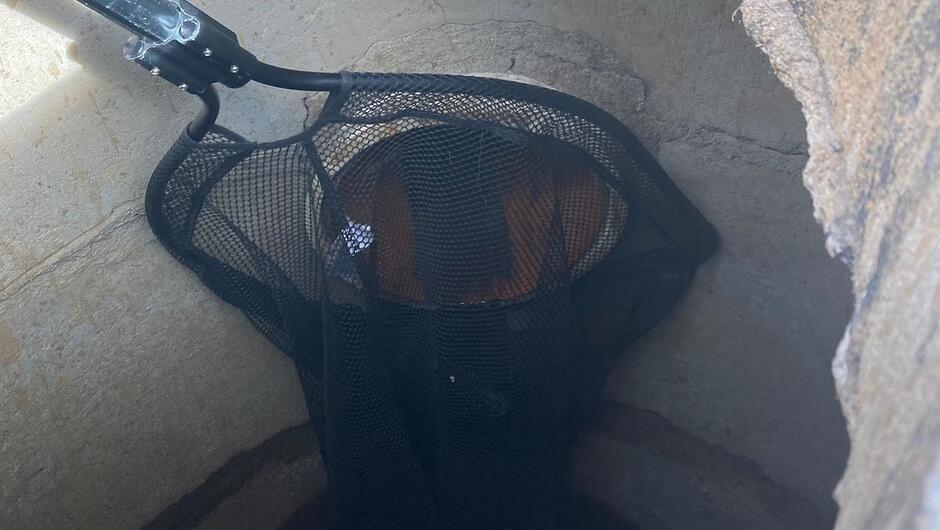 Na zdjęciu widoczna jest betonowa studnia lub komora techniczna widziana od góry. W jej wnętrzu znajduje się czarny podbierak z siatki, zamocowany na metalowym drążku. Ściany studni są wykonane z betonu, z widocznymi śladami zużycia, osadami i nierównościami powierzchni. Wnętrze jest słabo oświetlone, a na dnie widoczna jest ciemna przestrzeń, co sugeruje znaczną głębokość konstrukcji.