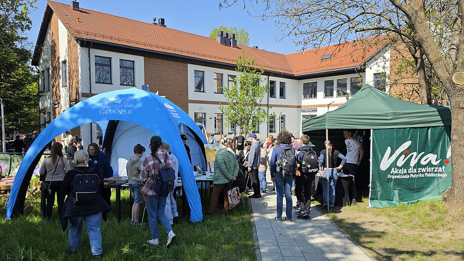 Na ostatnim zdjęciu przedstawiono centralną część wydarzenia plenerowego. Widać dwa namioty – niebieski oraz zielony – ustawione na trawie w pobliżu budynku o czerwonym dachu i jasnej elewacji. Na niebieskim namiocie znajduje się napis „GDAŃSK”, natomiast na zielonym widoczny jest napis „Viva! Akcja dla zwierząt Organizacja Pożytku Publicznego”.
Pomiędzy namiotami ustawiono stoły z materiałami informacyjnymi, przy których zgromadziła się większa grupa uczestników. Osoby spacerują alejką wyłożoną płytkami, zatrzymują się przy stoiskach i rozmawiają. W tle widoczna jest dalsza część budynku oraz drzewa, które otaczają teren wydarzenia.
Całość ma charakter otwartego pikniku lub targów tematycznych, gdzie można zapoznać się z działalnością organizacji oraz różnymi inicjatywami, w tym związanymi z ochroną środowiska i działaniami społecznymi.