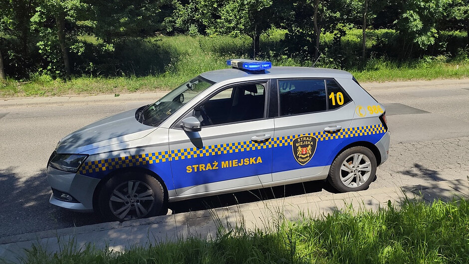 Na zdjęciu przedstawiono oznakowany samochód Straży Miejskiej zaparkowany równolegle do krawężnika przy asfaltowej drodze, w otoczeniu zieleni. Pojazd to pięciodrzwiowy hatchback w kolorze srebrnym z charakterystycznymi pasami w odcieniach niebieskiego i żółtego biegnącymi wzdłuż boków. Na drzwiach widnieje napis „STRAŻ MIEJSKA” oraz herb, a w tylnej części karoserii widoczne są dodatkowe oznaczenia, w tym numer „10” na tylnej szybie. Na dachu samochodu zamontowany jest niebieski sygnał świetlny. Samochód stoi na poboczu drogi, a za nim znajduje się pas trawy oraz gęste zadrzewienie, które tworzy naturalne, zielone tło. Oświetlenie wskazuje na słoneczny dzień, a cienie drzew i pojazdu padają na jezdnię i chodnik, podkreślając wyraźne kontrasty między światłem a cieniem.