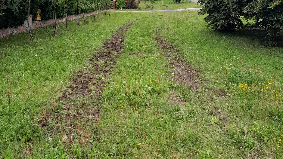 Na zdjęciu przedstawiono rozległy teren trawiasty graniczący z lokalną drogą. Przez środkową część działki przebiegają dwa równoległe ślady w podłożu, przypominające koleiny pozostawione przez pojazd mechaniczny. Po lewej stronie znajduje się rząd młodych drzew oraz niski mur lub ogrodzenie, natomiast po prawej stronie widoczne jest duże drzewo o rozłożystej koronie. W tle znajdują się kolejne drzewa i krzewy, a także słupy energetyczne i oświetleniowe wzdłuż drogi. Niebo jest całkowicie zachmurzone, a teren sprawia wrażenie nieużytkowanego lub użytkowanego sporadycznie. Widoczne są miejscowe naruszenia darni w postaci śladów przejazdu pojazdu.