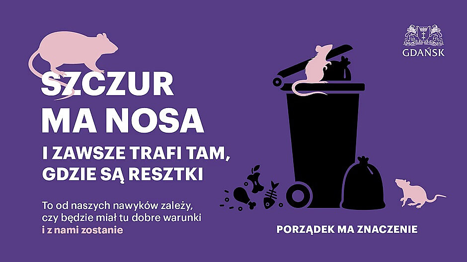 Plakat informacyjny Miasta Gdańska dotyczący ograniczania występowania szczurów. Na fioletowym tle znajdują się grafiki szczurów oraz pojemnika na odpady. Widoczny jest napis: „SZCZUR MA NOSA I ZAWSZE TRAFI TAM, GDZIE SĄ RESZTKI” oraz hasło „PORZĄDEK MA ZNACZENIE”. Przekaz plakatu zwraca uwagę na znaczenie właściwego gospodarowania odpadami i utrzymywania porządku w celu ograniczenia dostępu gryzoni do pożywienia.