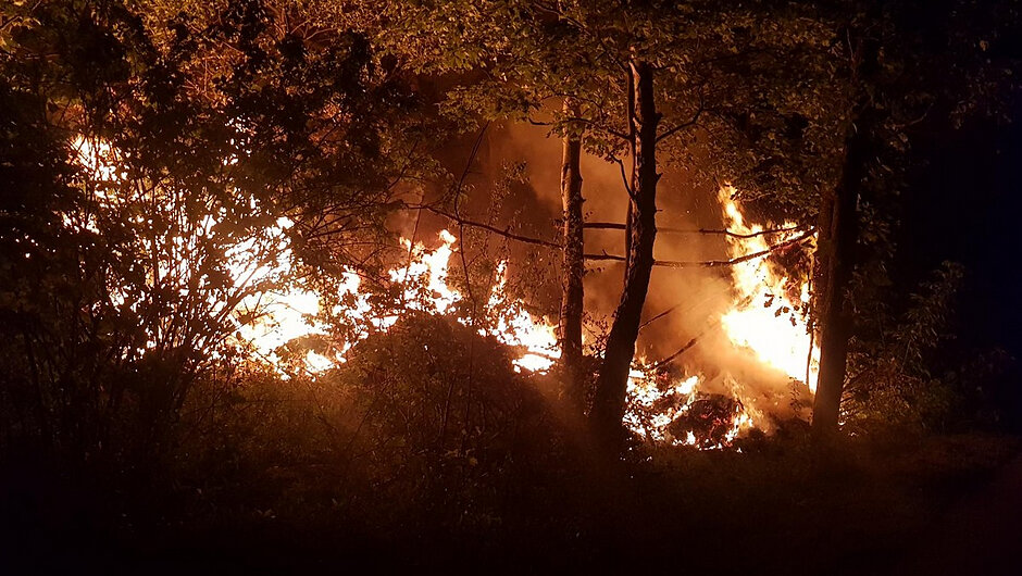 Na fotografii widoczny jest rozległy pożar obejmujący roślinność znajdującą się wśród drzew i krzewów. Ogień rozprzestrzenia się na znacznej powierzchni, a wysokie płomienie oraz dym są widoczne pomiędzy pniami drzew. Pożar oświetla okoliczny teren intensywnym pomarańczowym światłem, kontrastującym z ciemnym otoczeniem. W kadrze widoczne są drzewa i gęsta roślinność znajdujące się w bezpośrednim sąsiedztwie źródła ognia, co stwarza ryzyko dalszego rozprzestrzeniania się pożaru.
Fotografia dokumentuje zdarzenie pożarowe na obszarze porośniętym roślinnością oraz warunki, w których prowadzone były działania ratowniczo-gaśnicze przez służby pożarnicze.