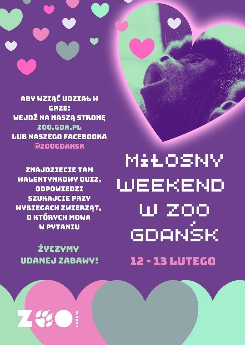Miłosny weekend w gdańskim ZOO 2022
